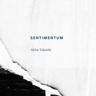 Sentimentum