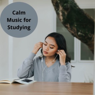 Calm Music For Studying