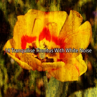 18 Tranquilise Tinnitus With White Noise