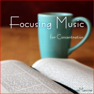 Focusing Music for Concentration ((Study Piano))