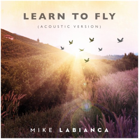 Learn to Fly (Acoustic Version) | Boomplay Music