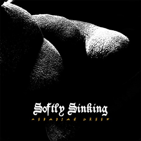 Softly Sinking | Boomplay Music