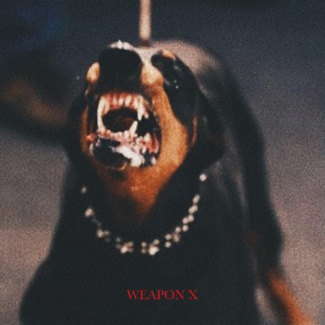 WEAPON X | Boomplay Music