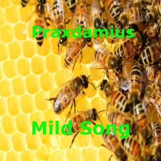 Mild Song