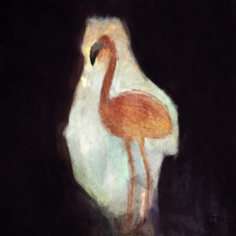 Flamingos of Korissia | Boomplay Music