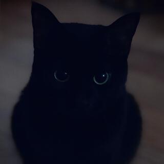 Onyx Eyes