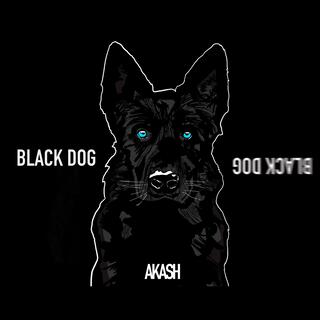 Black Dog lyrics | Boomplay Music