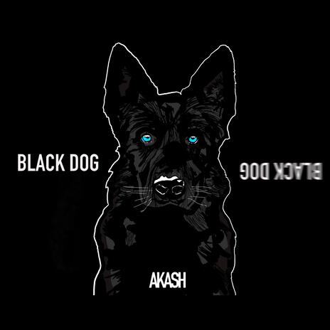 Black Dog | Boomplay Music