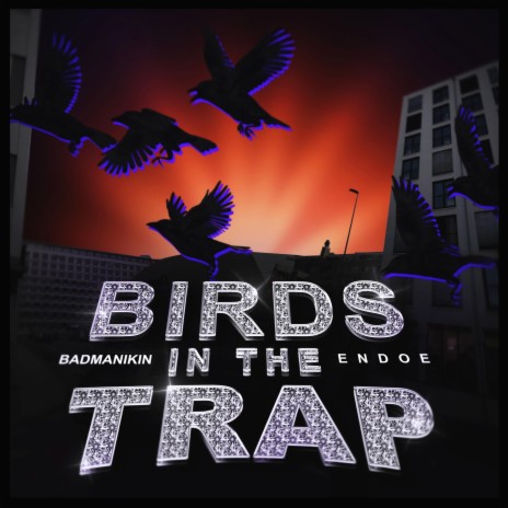 Birds in the Trap (feat. Endoe) | Boomplay Music