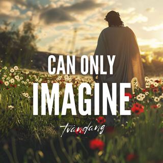 Can Only Imagine lyrics | Boomplay Music