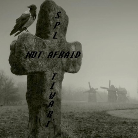 Not Afraid | Boomplay Music