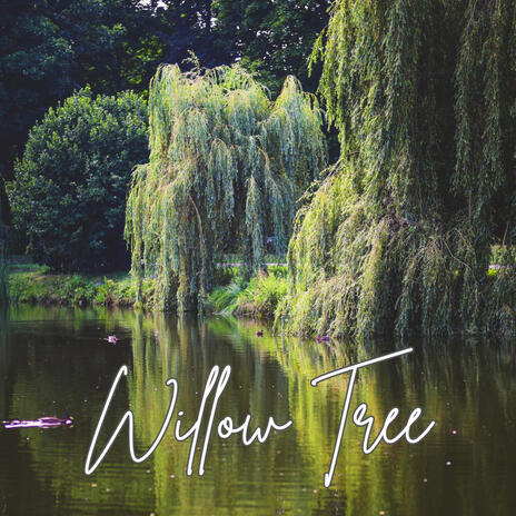 Willow Tree | Boomplay Music