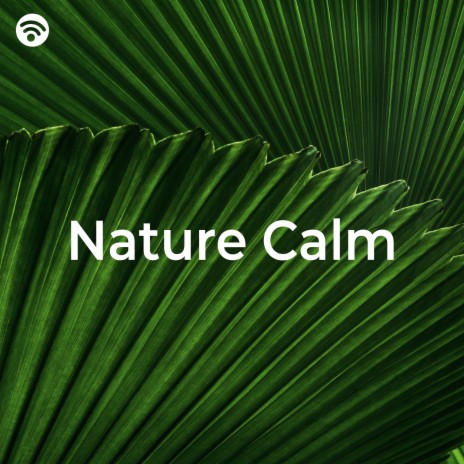 Harmonious Tranquility Amidst the Trees ft. National Geographic Nature Sounds & Nature Sound Series | Boomplay Music