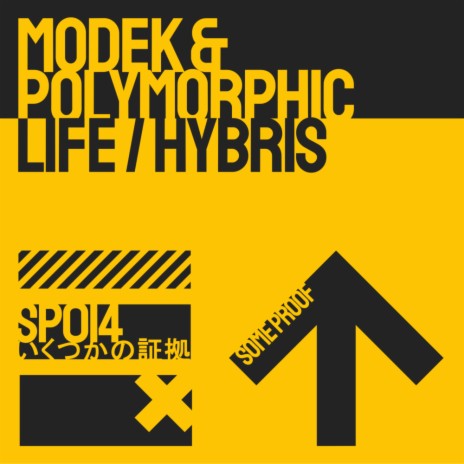 Life (Polymorphic Remix) | Boomplay Music