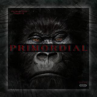 Primordial