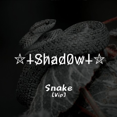Snake (VIP Mix) | Boomplay Music