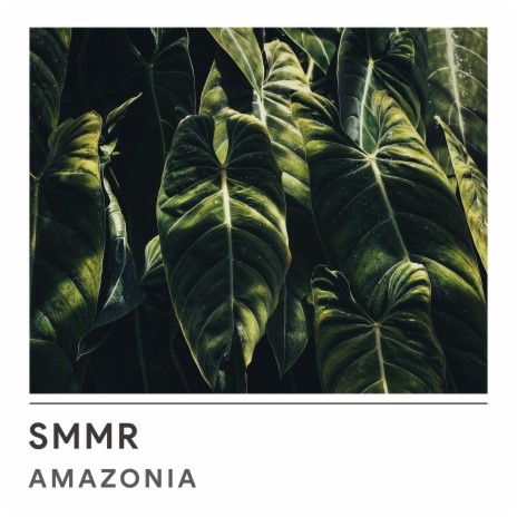 Amazonia | Boomplay Music