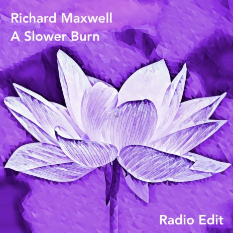 A Slower Burn (Radio Edit) | Boomplay Music