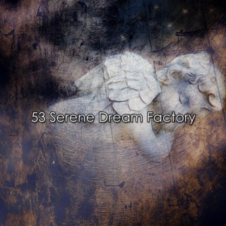 53 Serene Dream Factory