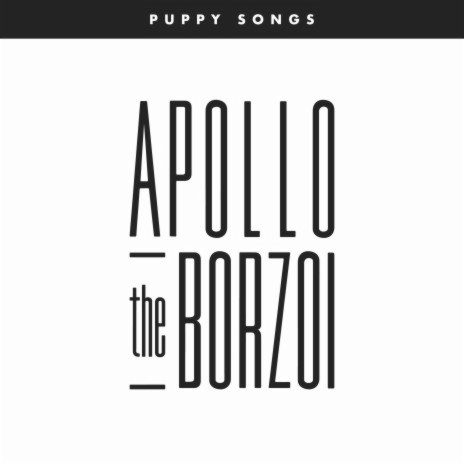 Apollo the Borzoi