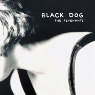 Black Dog