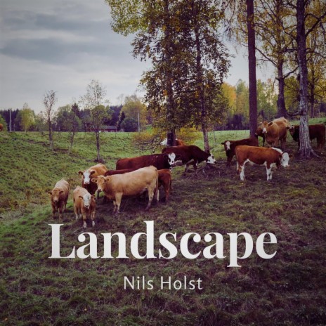 Landscape | Boomplay Music