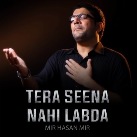 Tera Seena Nahi Labda | Boomplay Music