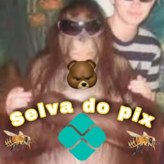 Selva do pix