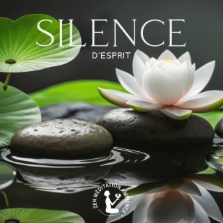 Silence d'esprit: Musique méditative Hang Drum avec des sons de jardin zen, Laissez vos soucis et votre stress, Embrassez le bonheur du moment