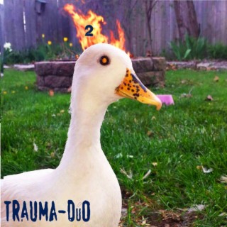 Trauma-Duo