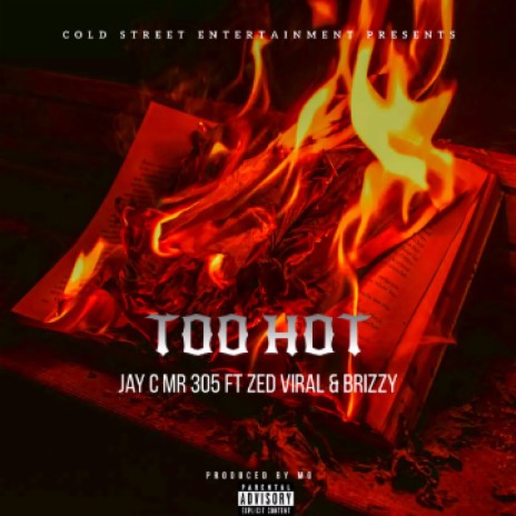 TOO HOT | Boomplay Music