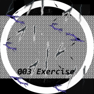 003 Exercise