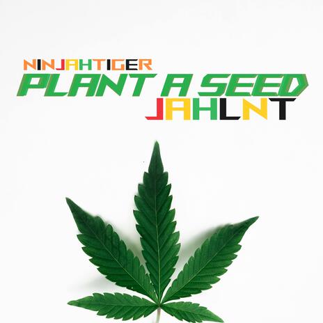 Plant A Seed (Riddim)