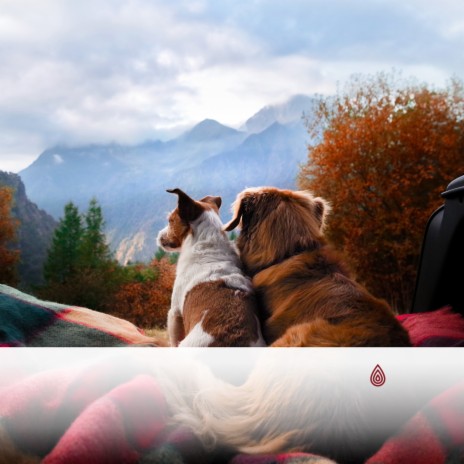 Douce Pluie Relaxante ft. Music for Dogs Ears, Chakra Healing Music Academy, Calming for Dogs Indeed, Baby Sleep Baby Sounds & Baby Naptime