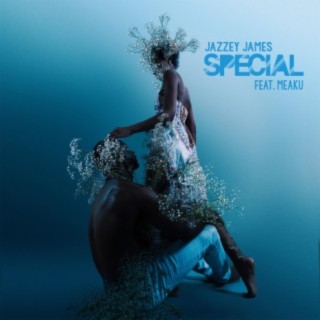 Special (feat. Meaku)