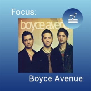 Focus: Boyce Avenue
