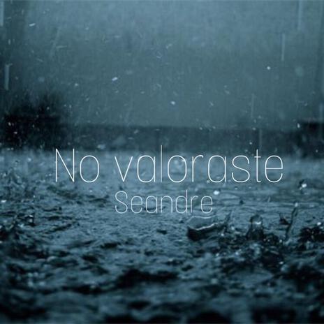 No Valoraste | Boomplay Music