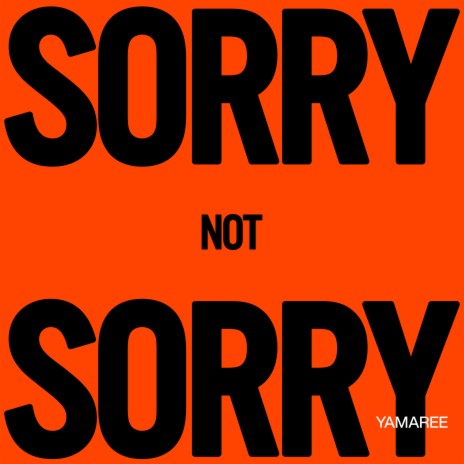 SORRY NOT SORRY | Boomplay Music