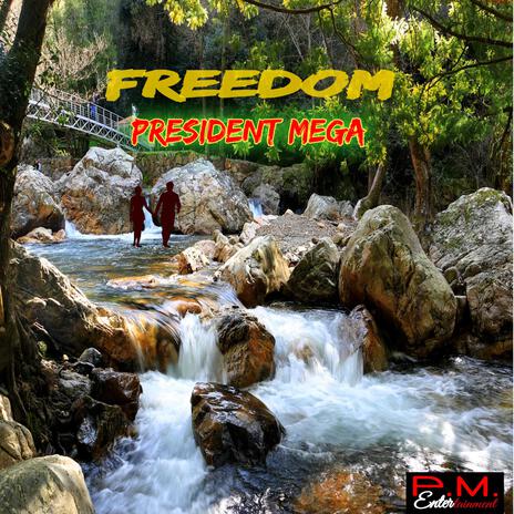 Freedom | Boomplay Music