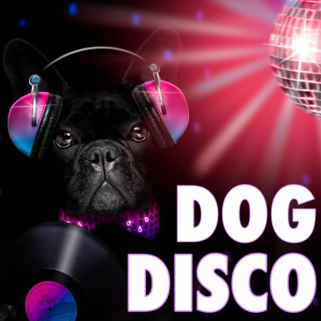 Disco Dog