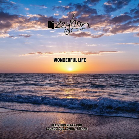 Wonderful Life | Boomplay Music
