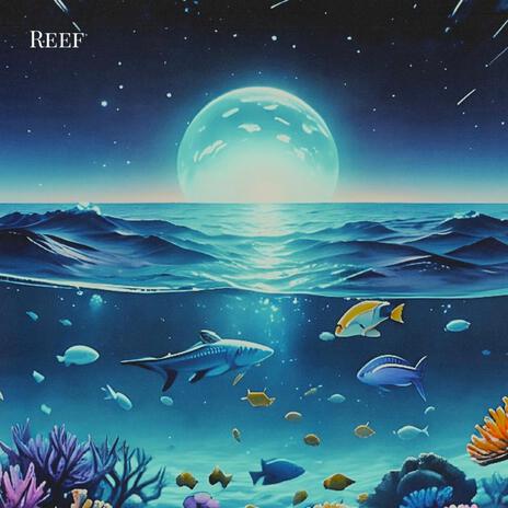 Reef | Boomplay Music