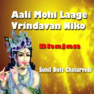 Aali Mohi Laage Vrindavan Niko Bhajan