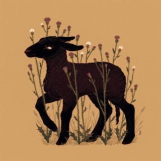 Black Sheep (EP)