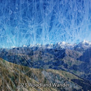 23 Woodland Wander