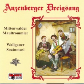 Anzenberger Dreigsang - Mittenwalder Maultrommler - Wallgauer Soatnmusi