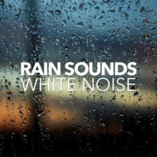 Rain Sounds & White Noise