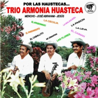 Trio Armonía Huasteca