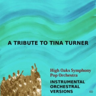 A Tribute To Tina Turner