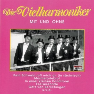 Die Vielharmoniker